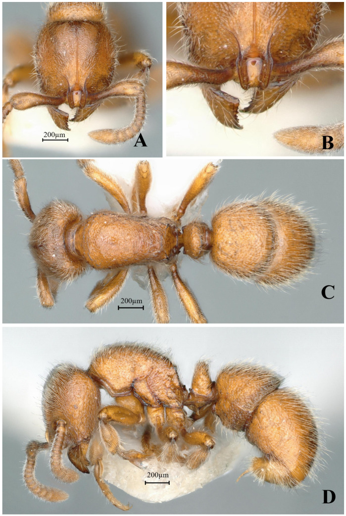 Figure 28