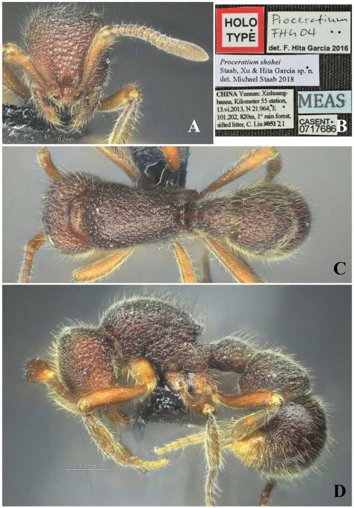 Figure 29