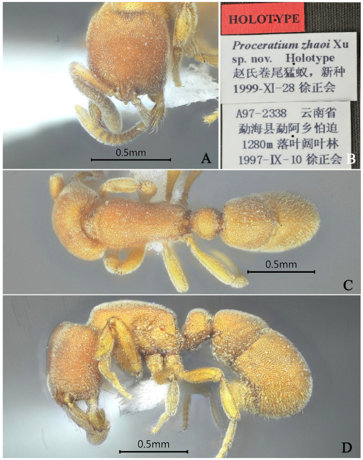 Figure 31