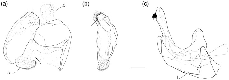 Figure 13