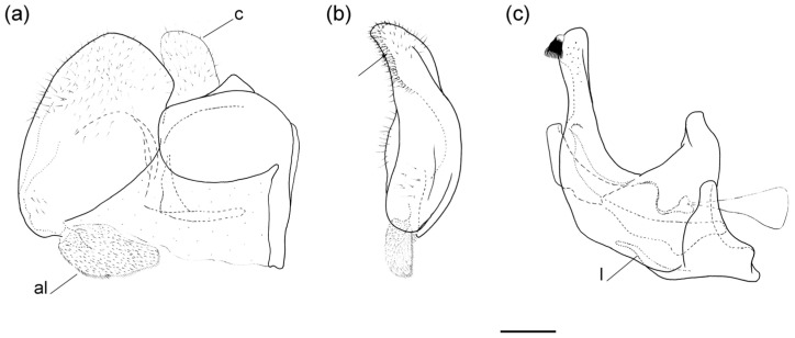 Figure 17