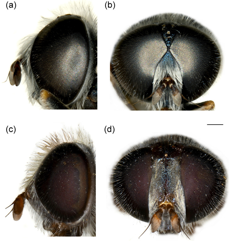 Figure 18