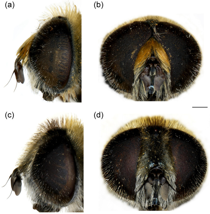 Figure 19