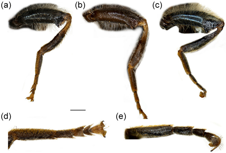 Figure 20