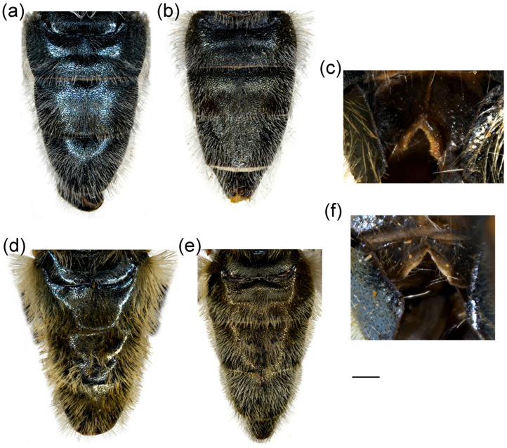 Figure 21