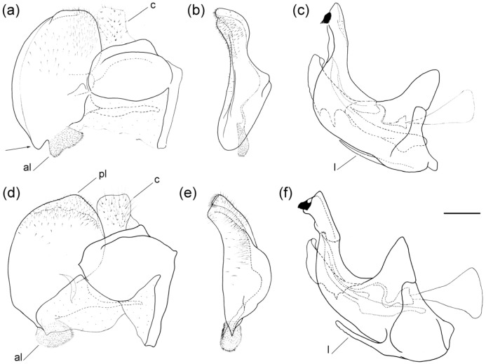 Figure 22