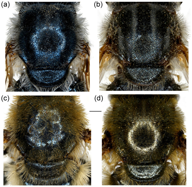 Figure 23