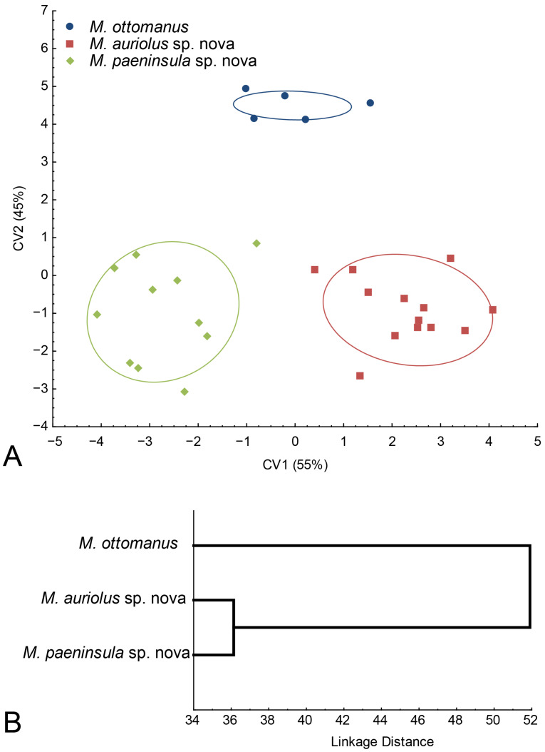 Figure 24