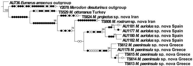 Figure 25