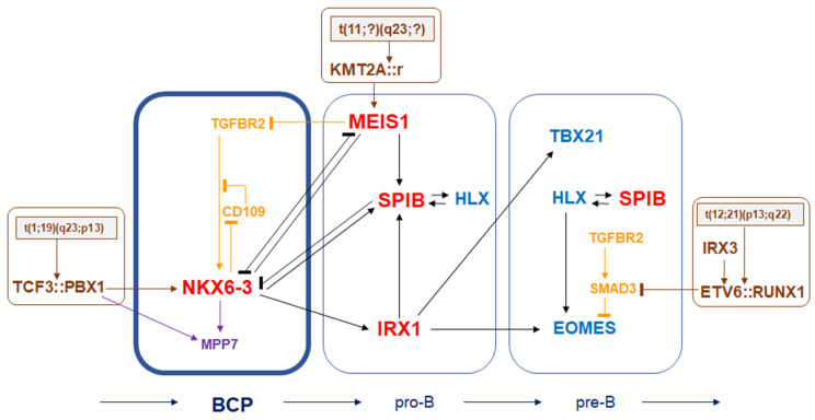 Figure 7