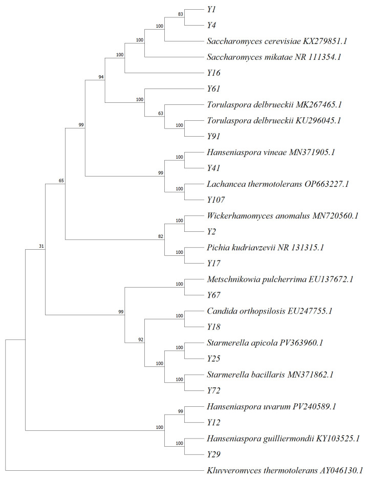 Figure 7