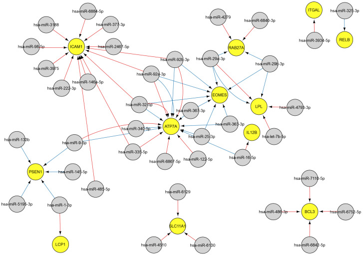 Figure 5