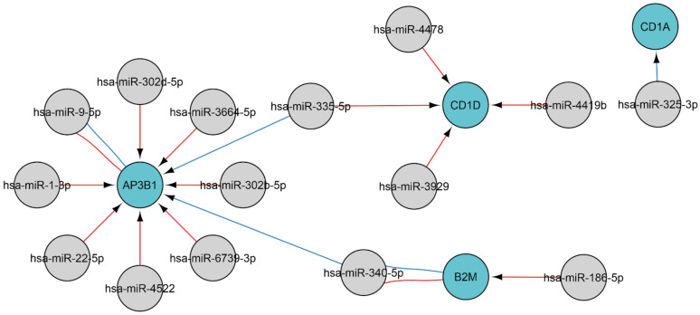 Figure 6