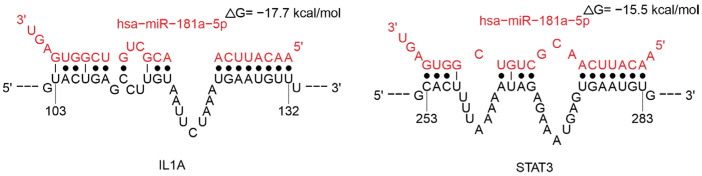Figure 13