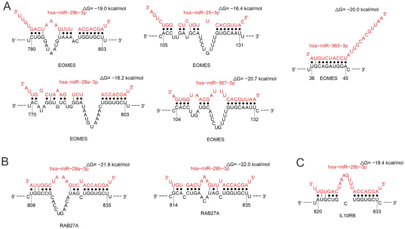 Figure 14