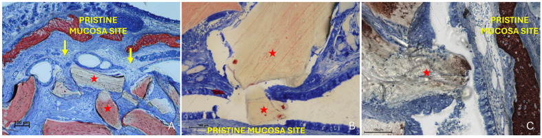 Figure 9