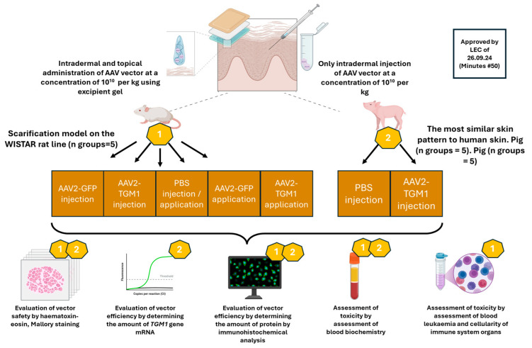Figure 12