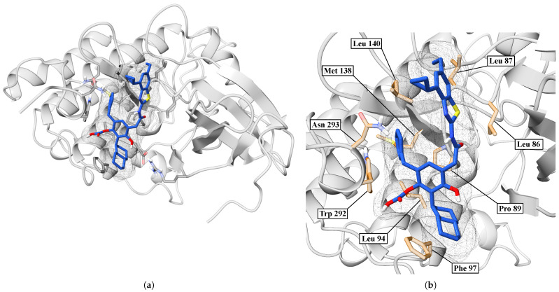 Figure 13