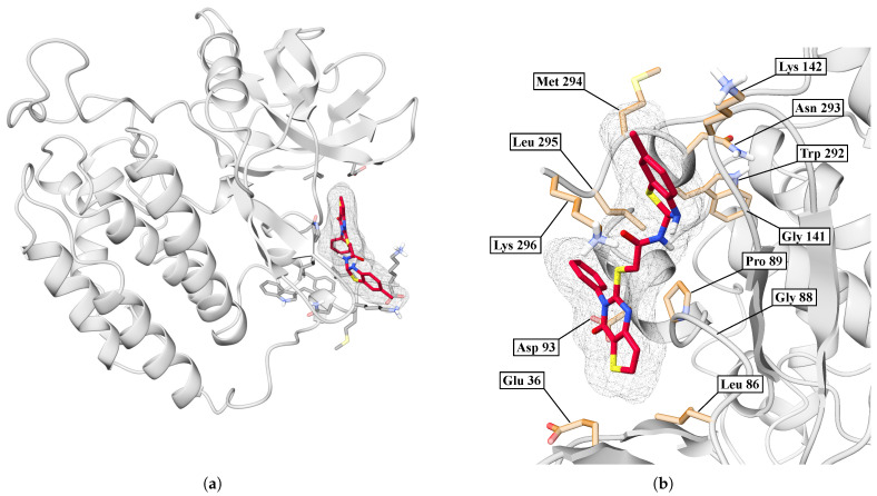 Figure 22