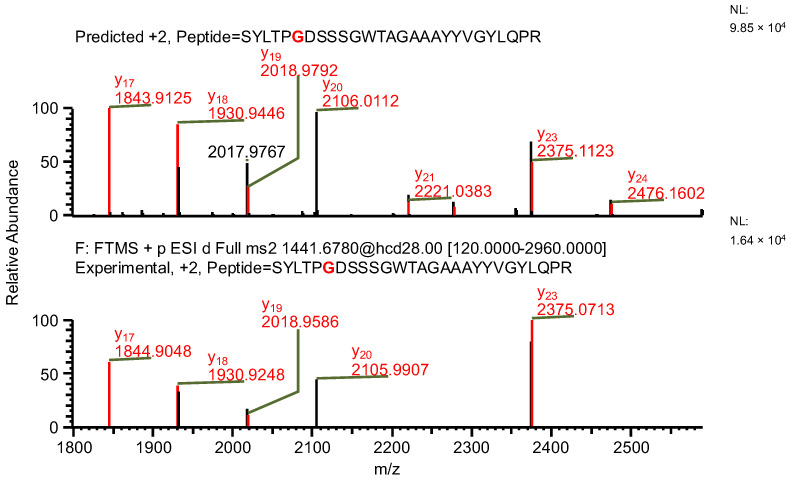 Figure 11