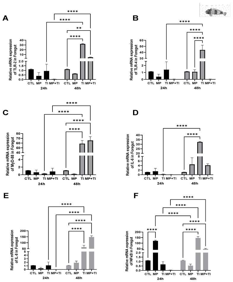 Figure 12