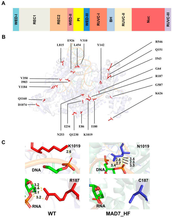 Figure 5