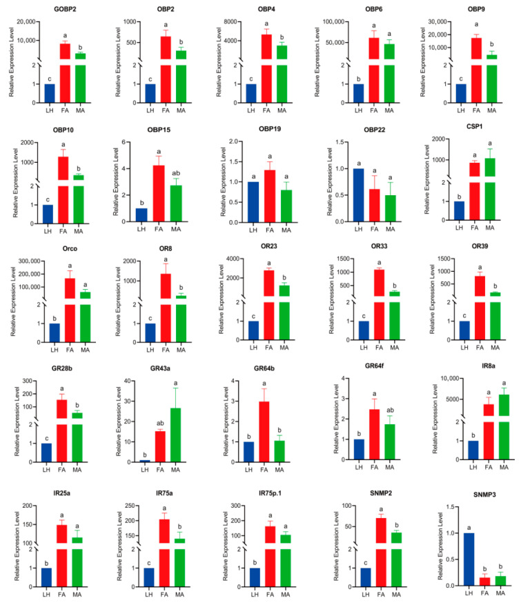 Figure 11