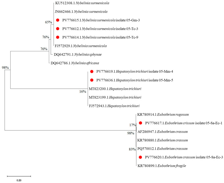 Figure 6