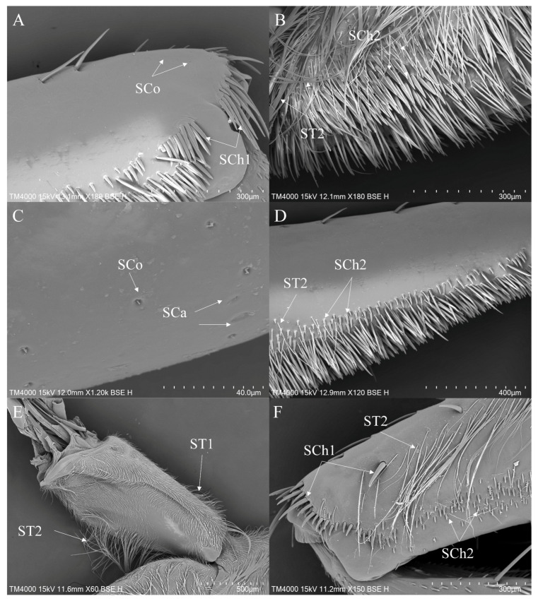 Figure 9
