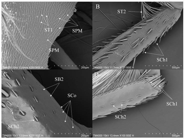 Figure 10