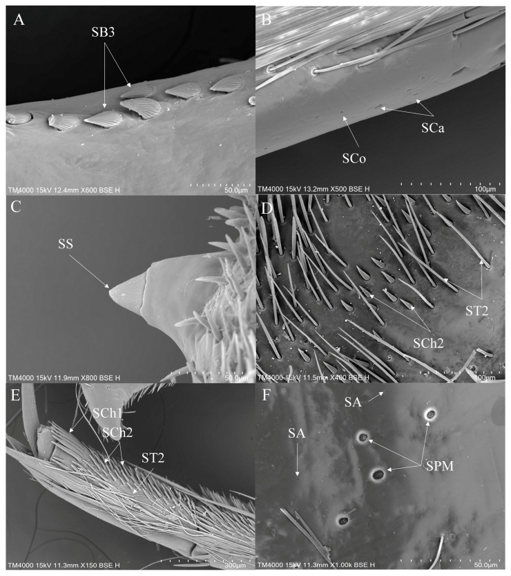 Figure 11