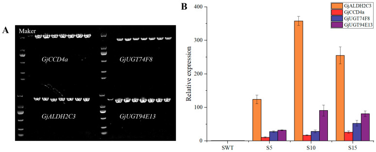 Figure 4
