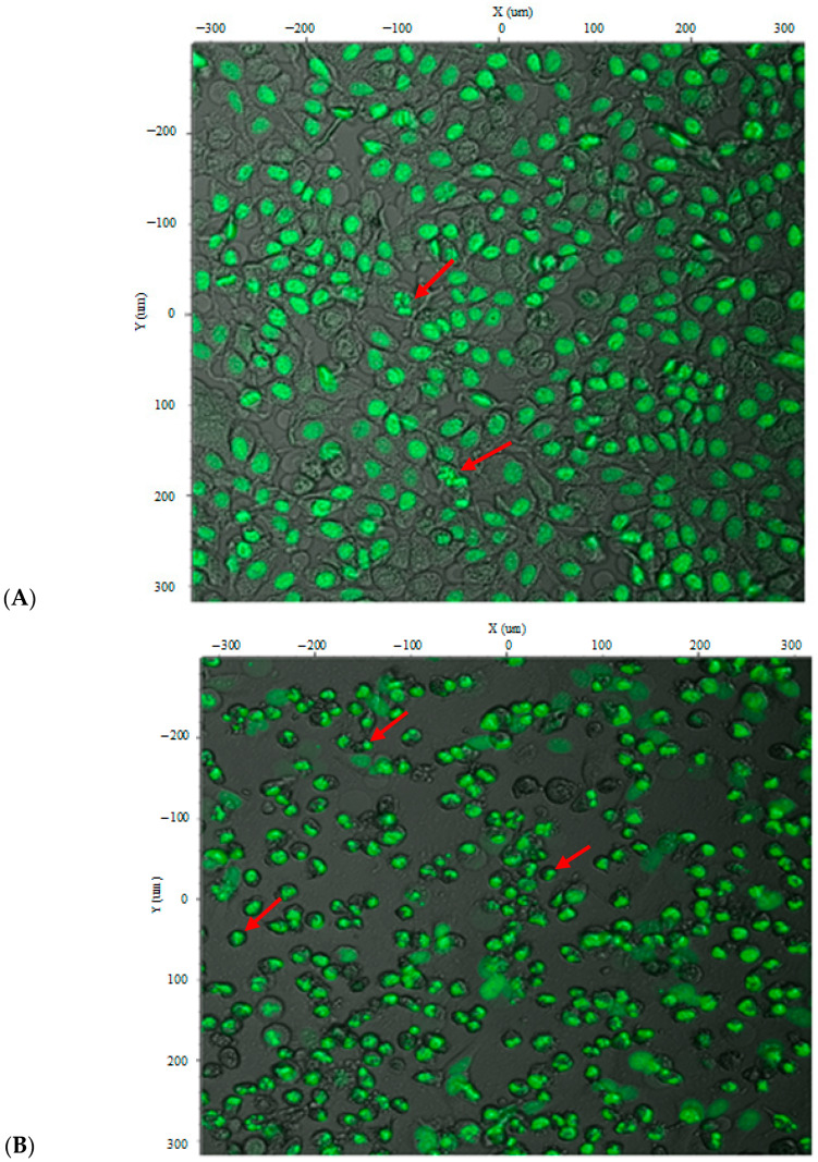 Figure 10