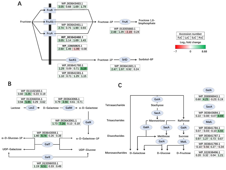 Figure 7
