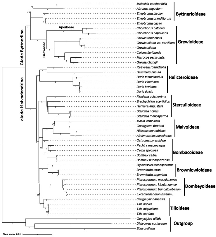 Figure 10