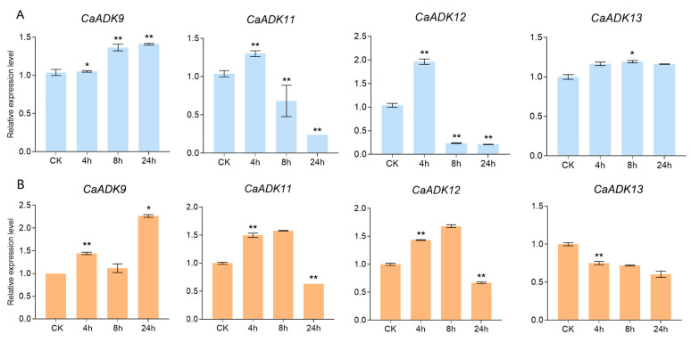 Figure 9