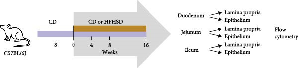Figure 15