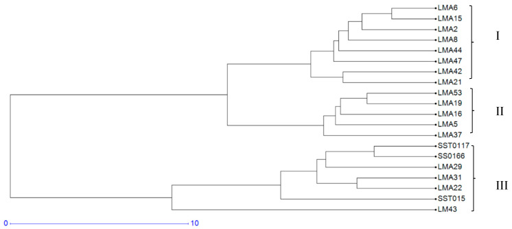 Figure 9