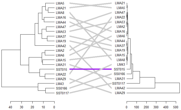 Figure 10