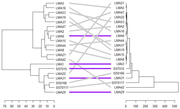 Figure 11