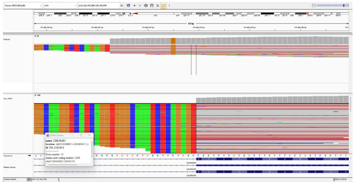Figure 4