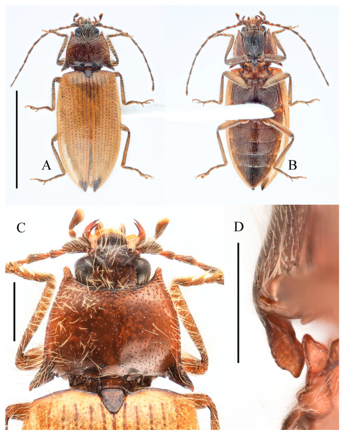 Figure 7