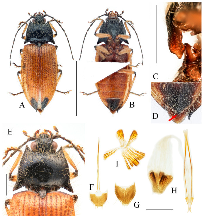 Figure 9