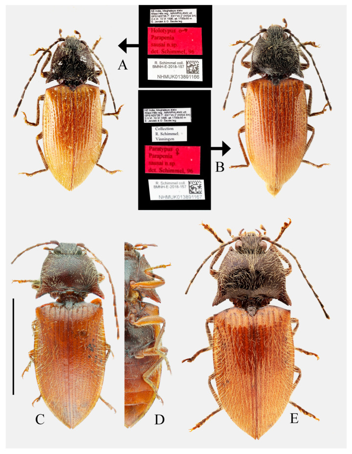 Figure 10