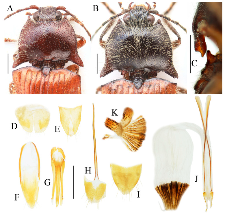 Figure 11