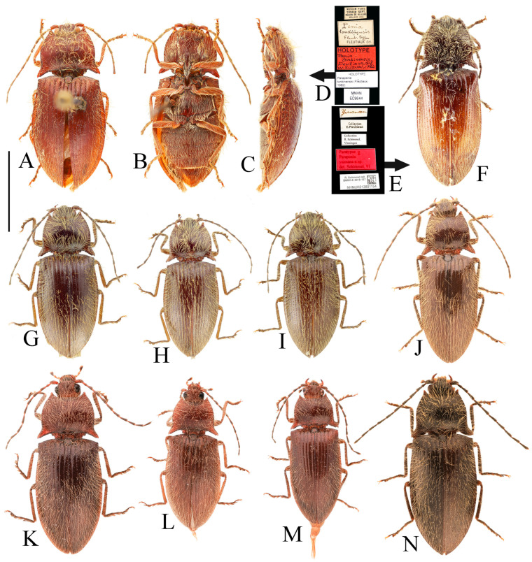 Figure 14