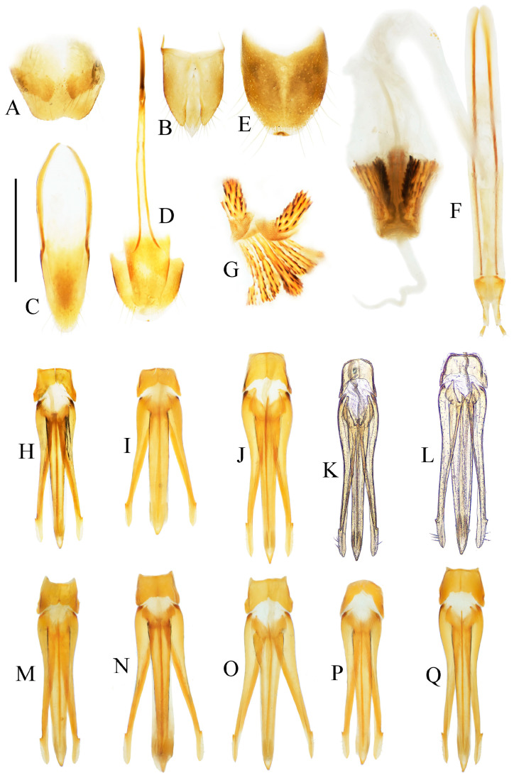 Figure 16