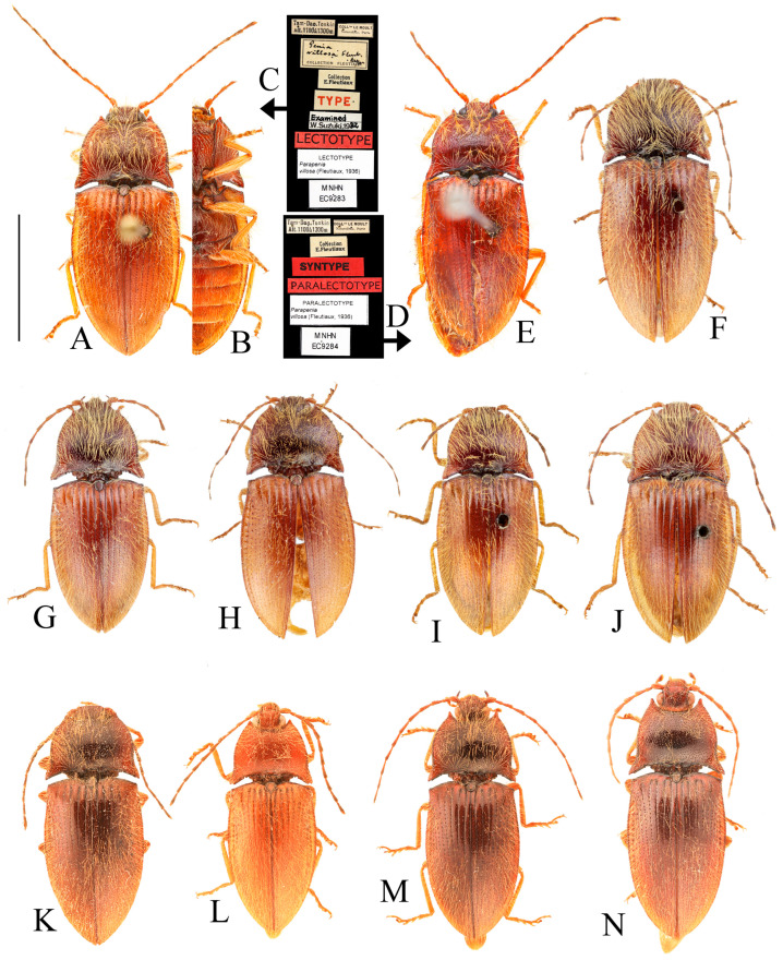 Figure 17