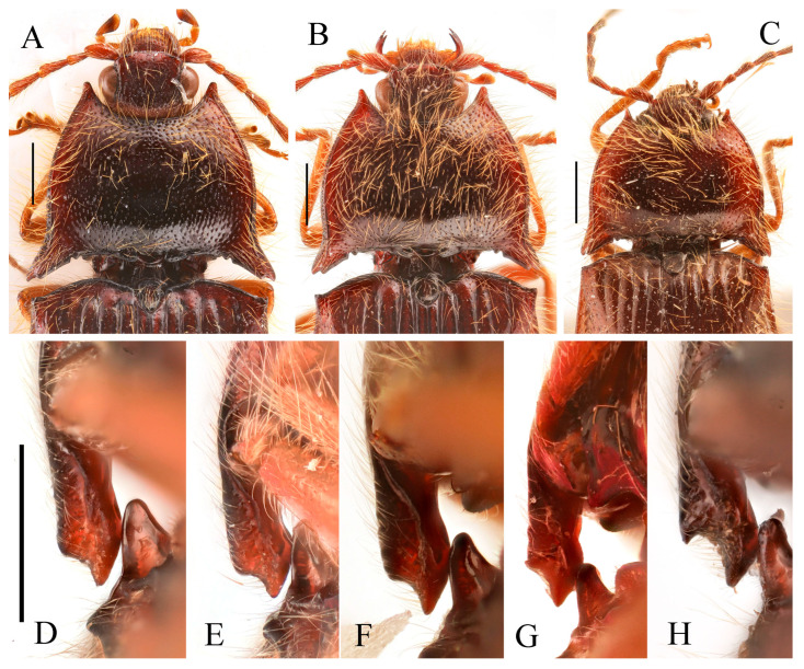 Figure 18