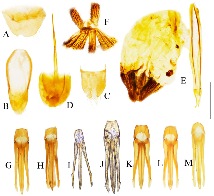 Figure 19